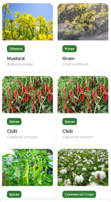 IIT Ropar’s ANNAM.AI Launches AVNI to Bring Agricultural Awareness and Learning to Children Through AI