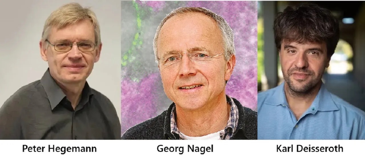 Three Scientists Share 2026 Nobel Prize in Physiology or Medicine for Breakthroughs in Optogenetics