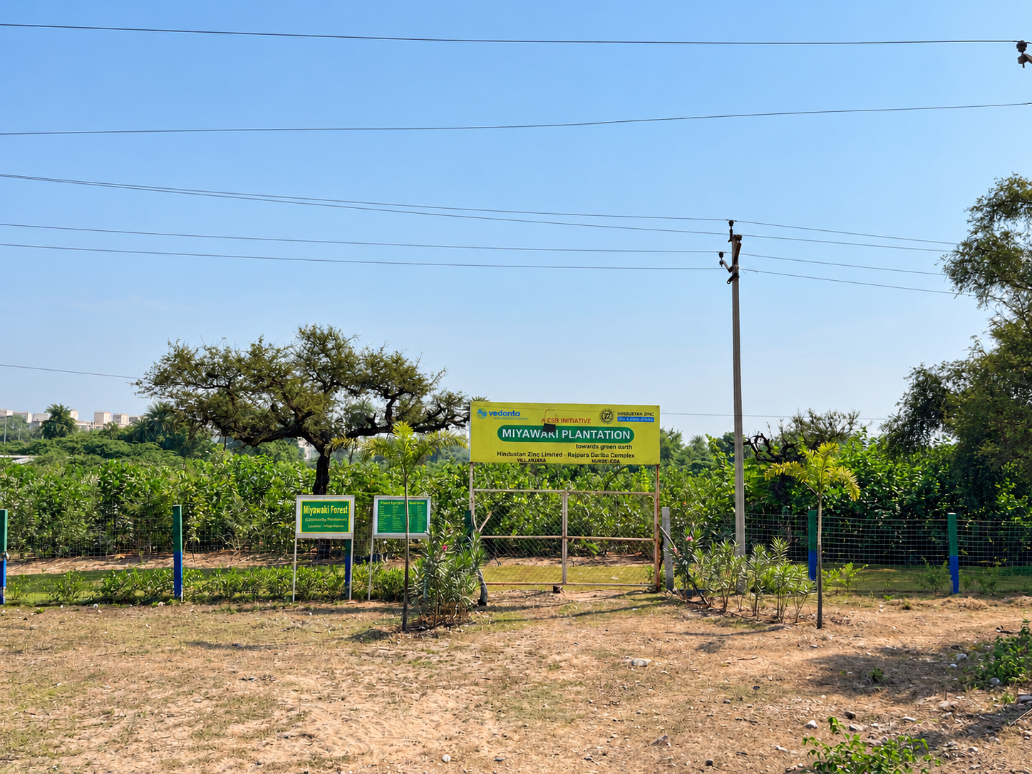 Hindustan Zinc restores 1,105 Hectares of land equivalent to 1,500+ Football Fields, advancing Ecological Restoration
