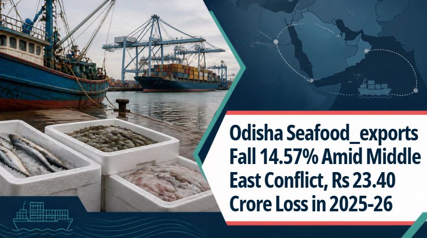 Odisha Seafood Exports Fall 14.57 pc Amid Middle East Conflict, Rs 23.40 Crore Loss in 2025-26